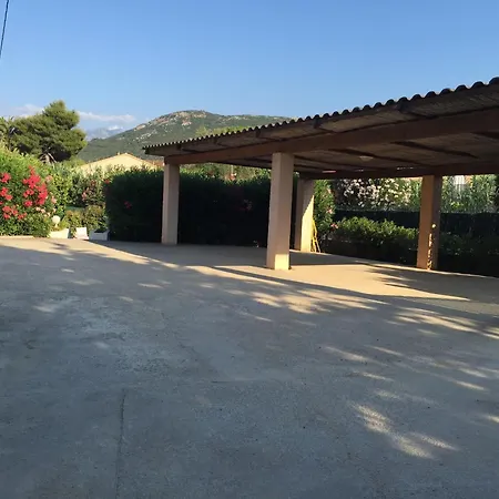 Branda * Calvi (Corsica)