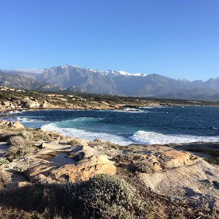 Branda Calvi (Corsica)
