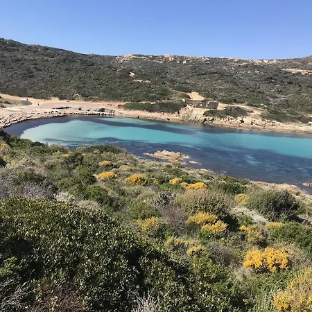 Branda * كالفي