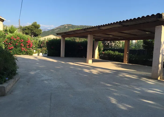 Résidence Branda * Calvi (Corsica)